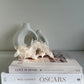 Himalayan Quartz Cluster - 1.07kg