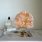 Pink Himalayan Quartz Cluster